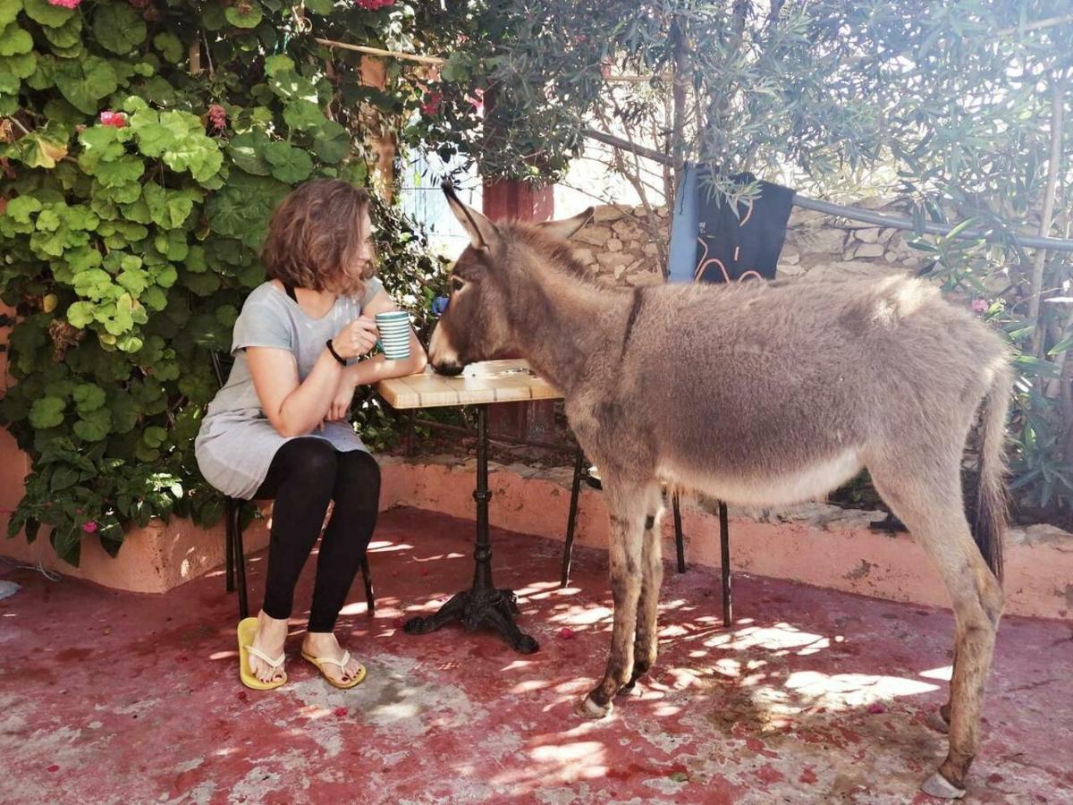 Surf Housemaroc Hostel Εσαουίρα Εξωτερικό φωτογραφία