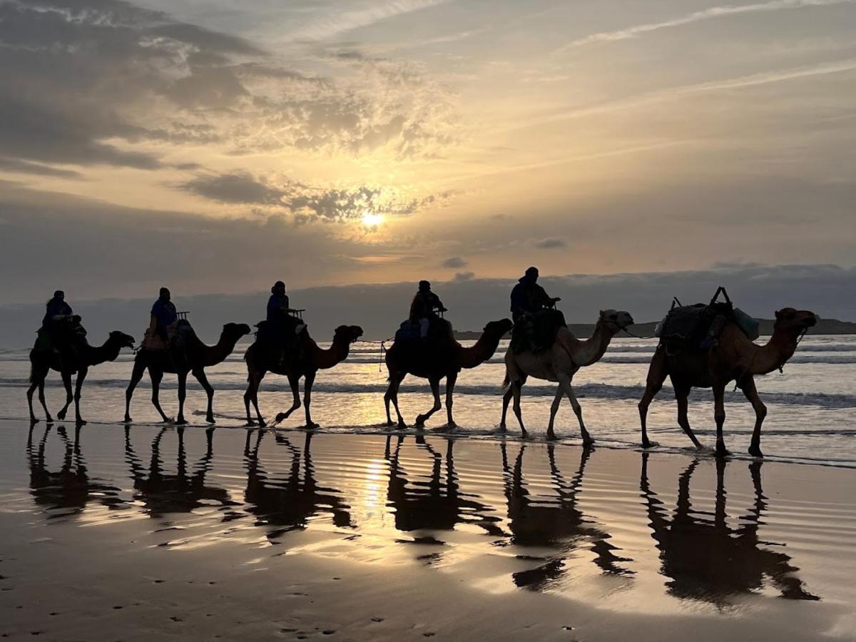 Surf Housemaroc Hostel Εσαουίρα Εξωτερικό φωτογραφία