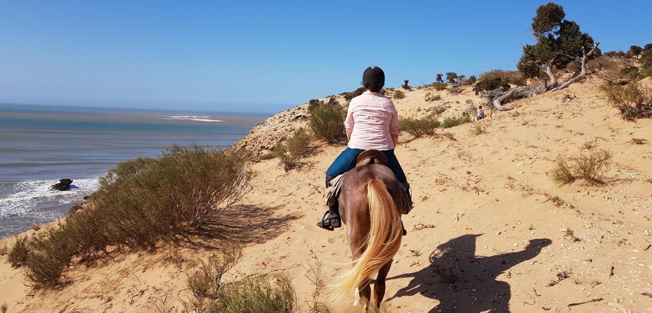 Surf Housemaroc Hostel Εσαουίρα Εξωτερικό φωτογραφία